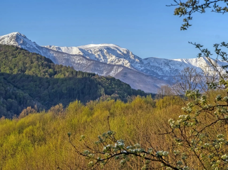 Die atemberaubende Landschaft des Nationalparks Zentralbalkan zeichnet sich durch hohe schneebedeckte Gipfel und ausgedehnte grüne Wälder aus. Dieses Naturjuwel ist ideal zum Wandern, zur Tierbeobachtung und zum Erleben unberührter Schönheit. Entfliehen Sie dem Alltag in Bulgariens Naturerbe.